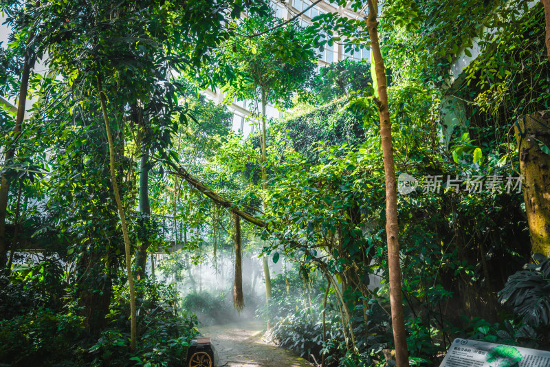 中科院昆明植物研究所 昆明植物园 扶荔宫