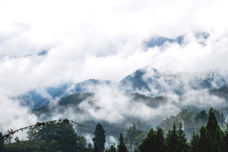 贵州沿河：青山雨雾