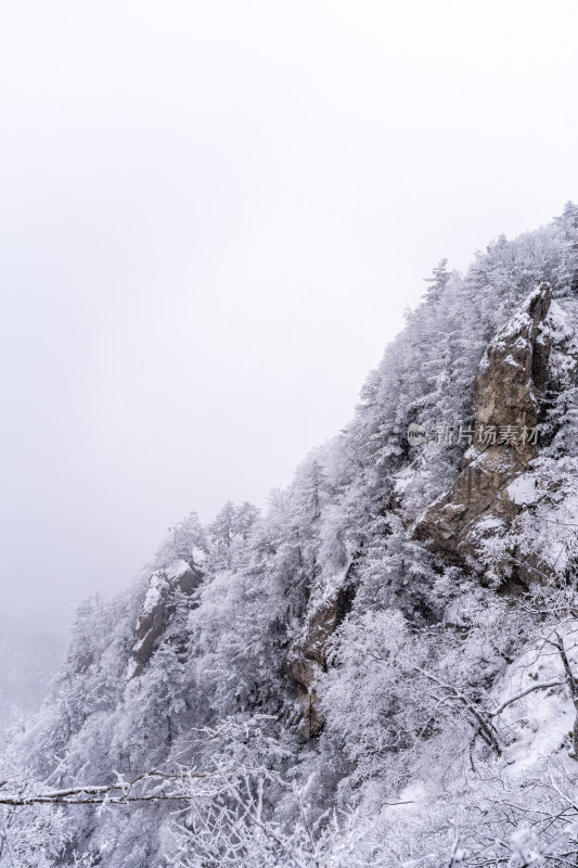 老君山下雪大山森林雾凇景观