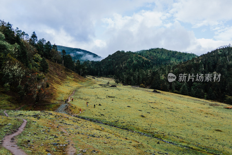 迪庆藏族自治州哈巴村羊房牧场兰花坪牧场