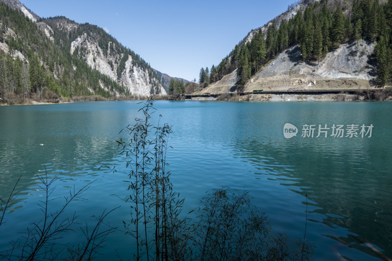 春日晴天九寨沟彩池森林雪山