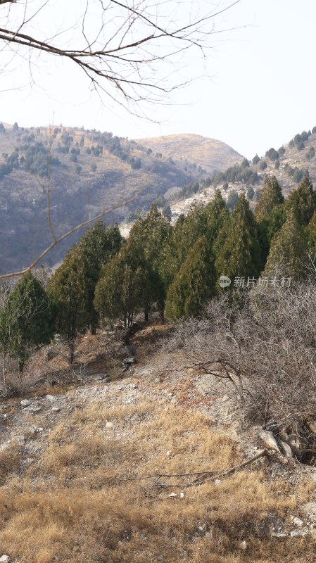 南部山区山脉森林风景