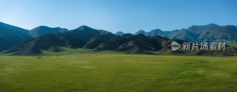 航拍夏天赛里木湖景区的草原