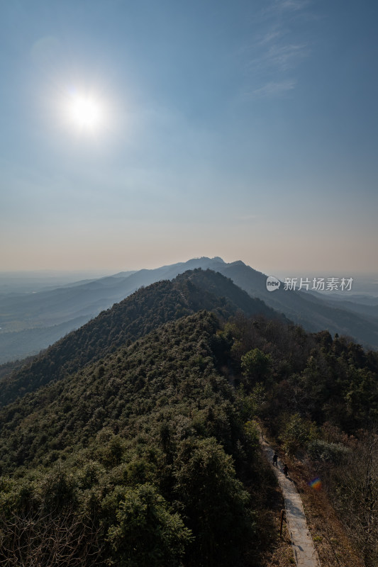 阳光照耀下的山林全景风光