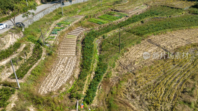 乡间田野风景