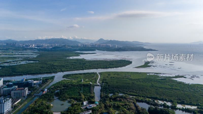 香港米埔自然护理区