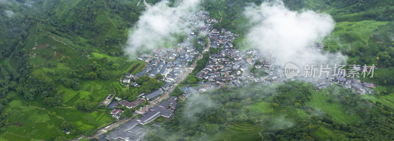 杭州西湖龙井产地梅家坞云雾茶园