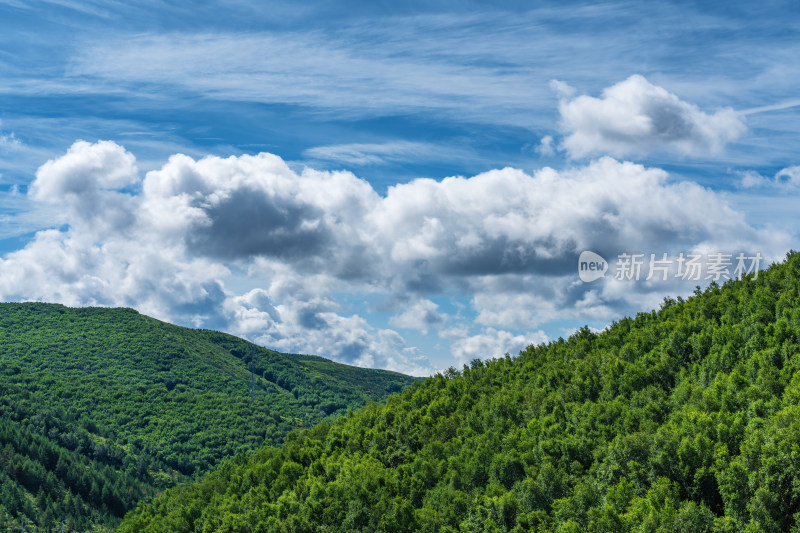 森林山谷蓝天白云晴朗天气风景