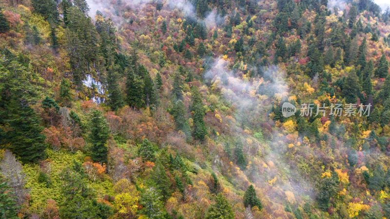 阿坝州黄龙风景名胜区秋色