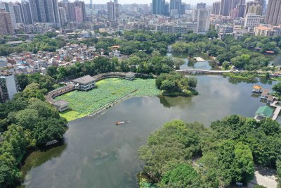 广州荔湾湖航拍