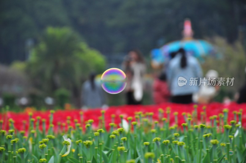 长沙风景，自然风光，长沙城景