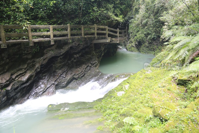 重庆仙女山景区风光