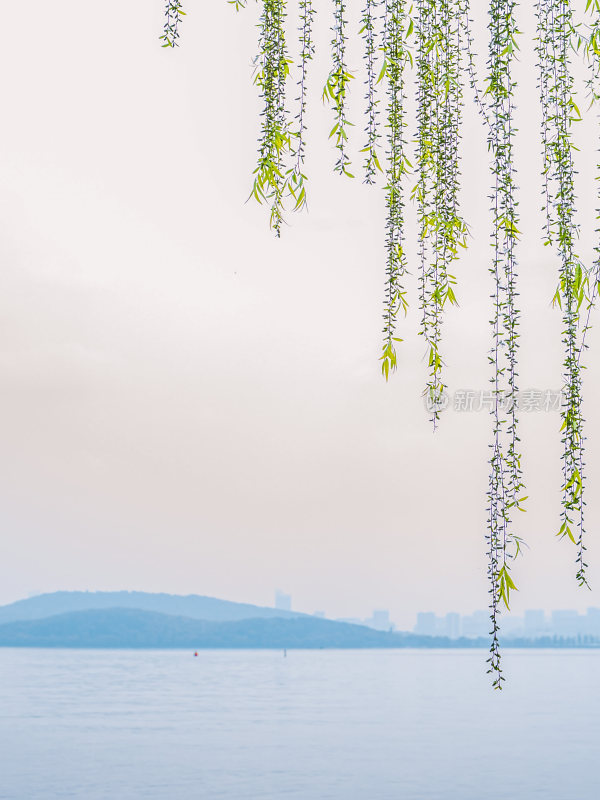 武汉东湖风景区景点风光