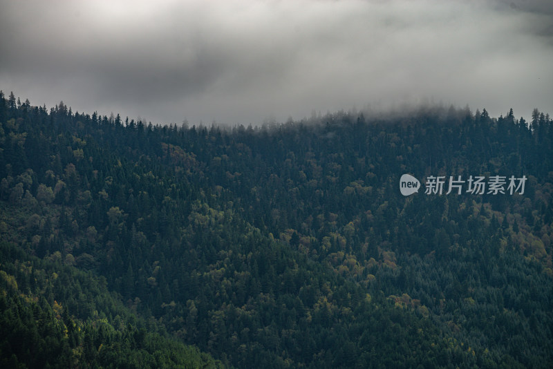 云雾中的森林山峰虎头山