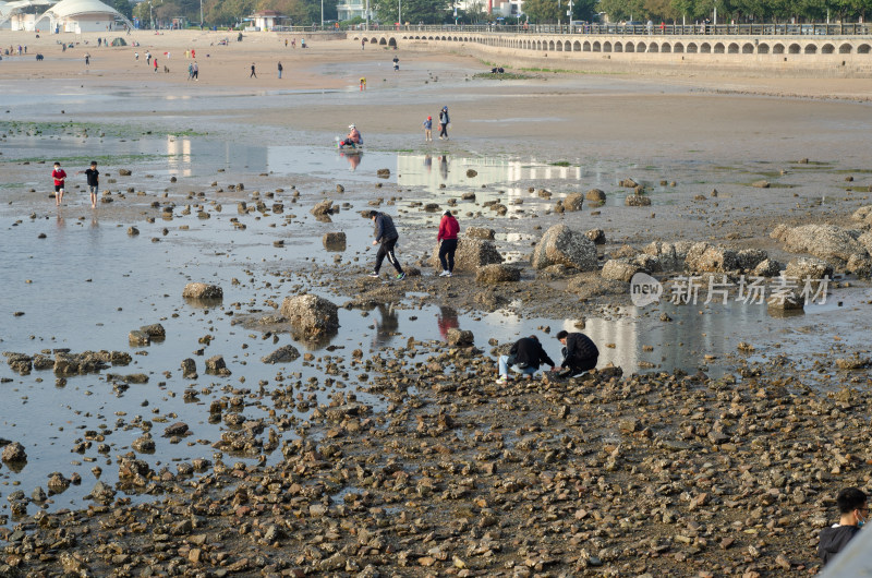 青岛海边滩涂上寻找小虾小蟹