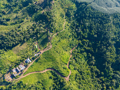 航拍视角下的丛林间越野车营地与植被景象