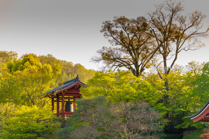 日本京都寺庙