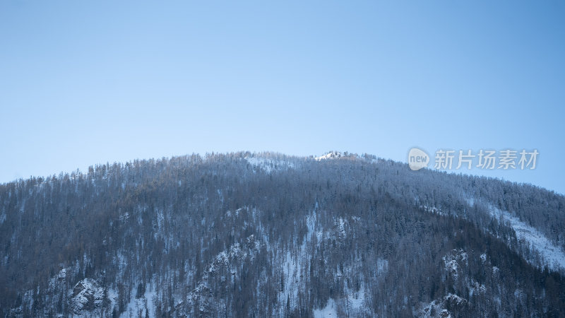 新疆森林大山雪景