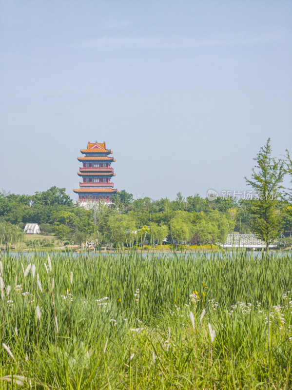 山东济宁凤凰山植物园春暖花开