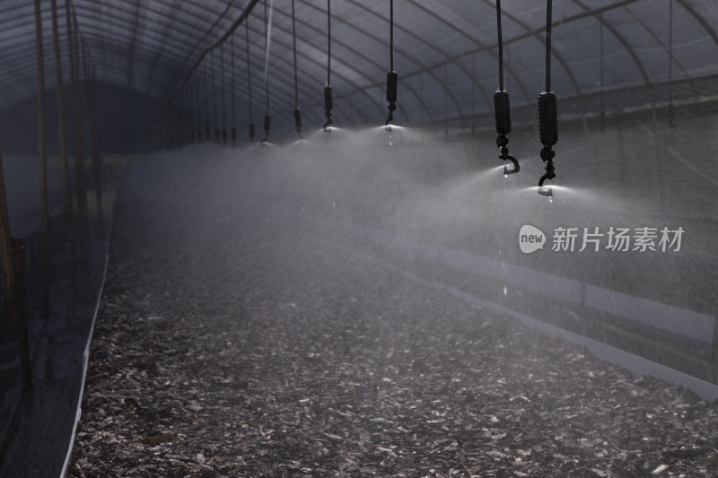 农业大棚养殖喷水淋水系统