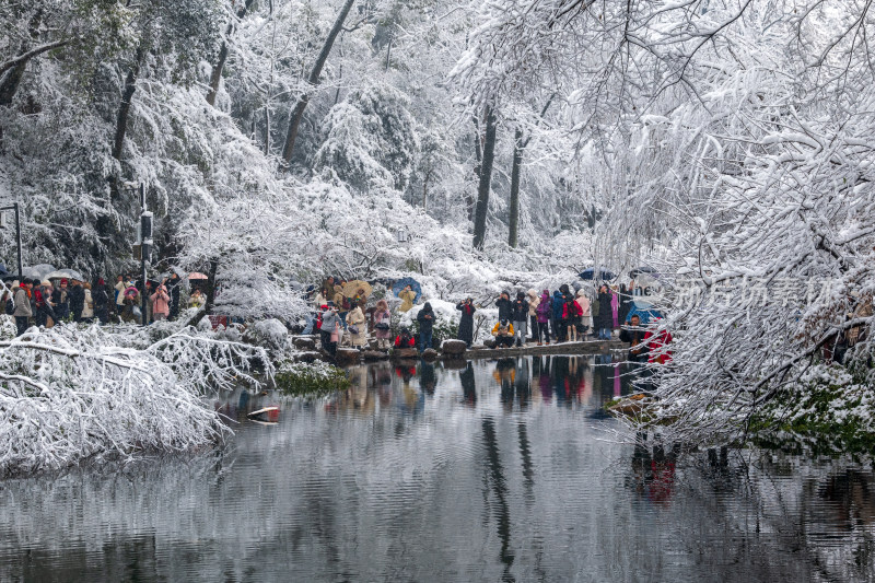 湖南大学雪景