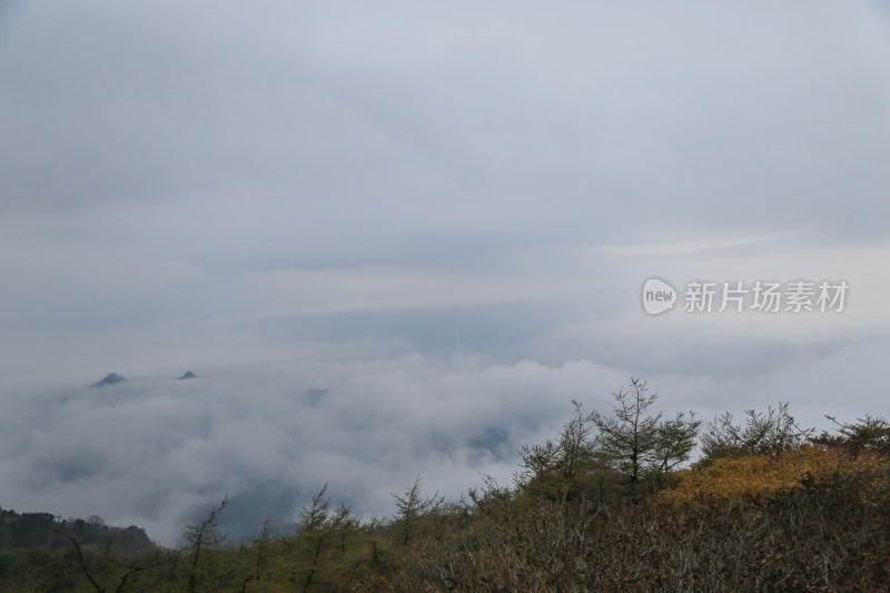 云海 山峰 山峦 山东 泰山