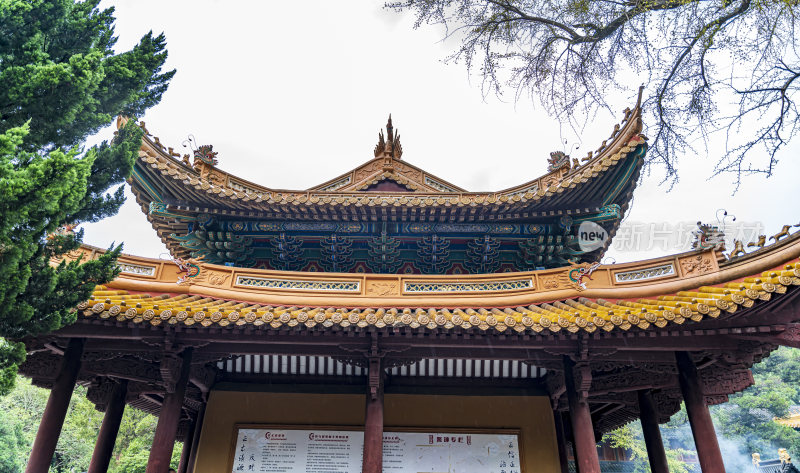 浙江普陀山法雨寺禅院