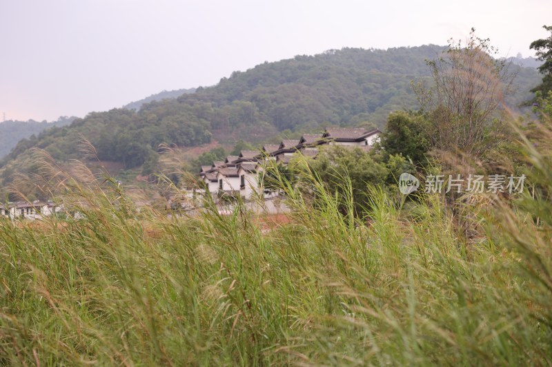 普洱市茶马古镇风景照片