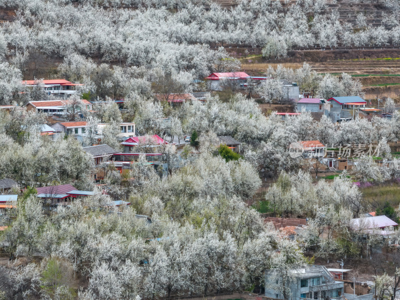 四川阿坝州金川梨花藏寨雪山高空航拍