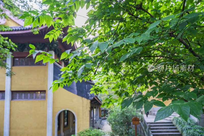 杭州西湖飞来峰灵隐寺千年古刹古建筑