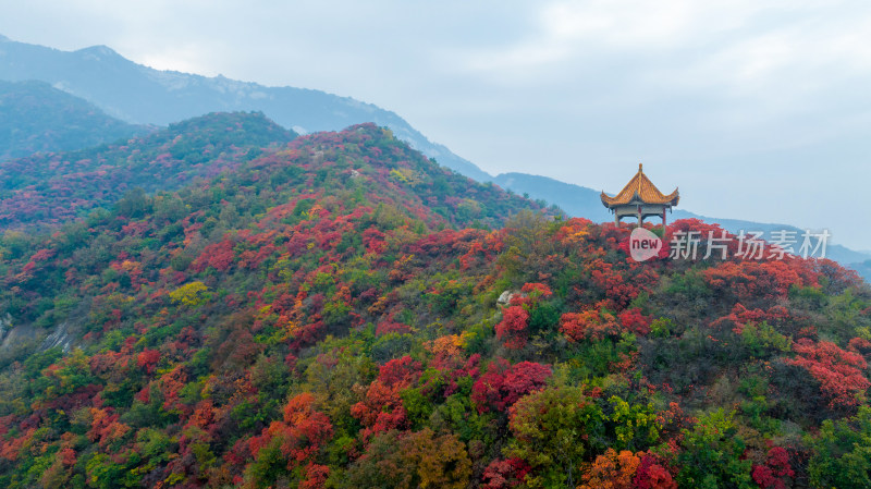 秋天霜降红叶立秋重阳节自然风景山脉森林