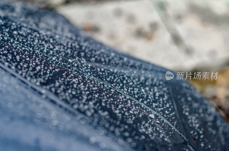 下雨天放路边的一把黑伞