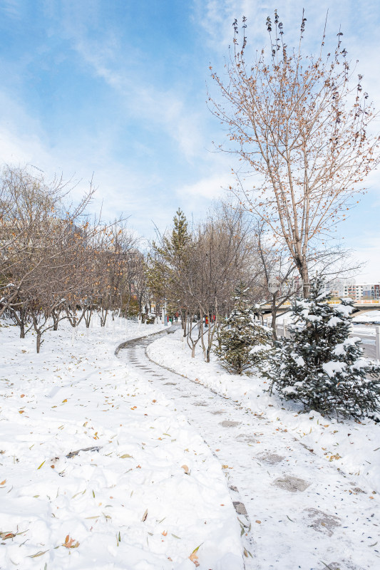 冬天城镇公园的积雪小路