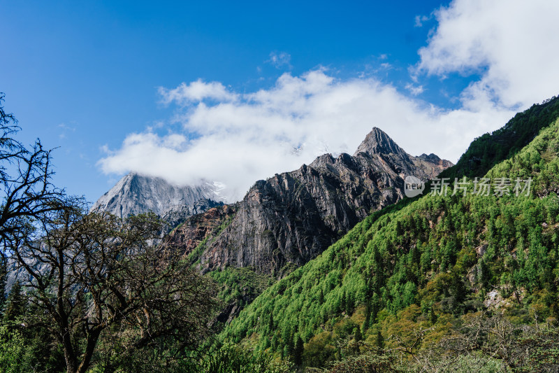 阿坝州四姑娘山长坪沟