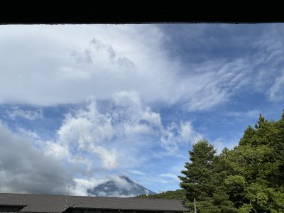 从林间仰视天空及远处山峰的景象