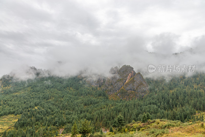 云雾缭绕的山峰森林