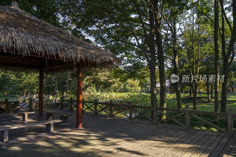 杭州西湖茅家埠江南水乡风景