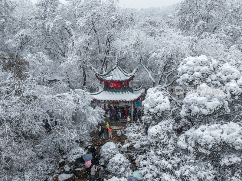 爱晚亭雪景