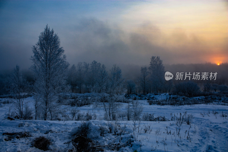 冬日河岸雾凇雪景