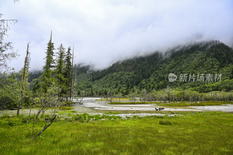 四川四姑娘山双桥沟自然风景