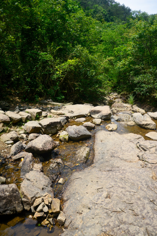 山中的风景