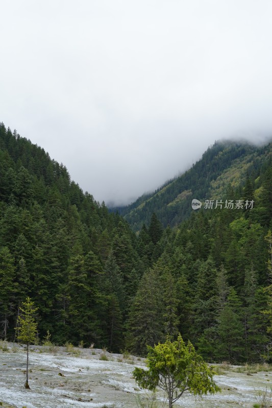 四川阿坝藏族羌族自治州九寨沟风景区