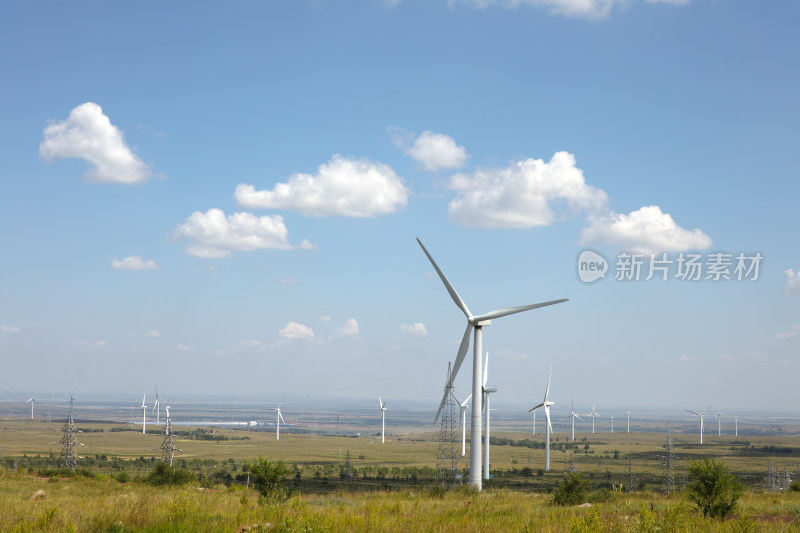 草原深处夏末草场自然风光