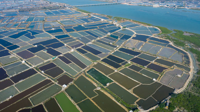 福建云霄县漳江口盐场风光