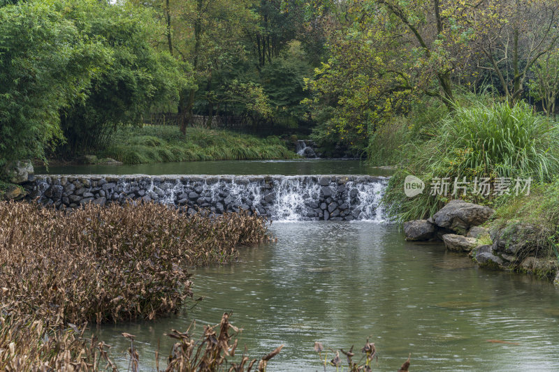 杭州三台山乌龟潭风景