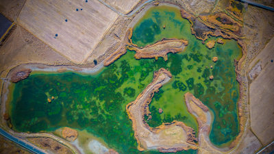 酒泉市怀茂湿地公园