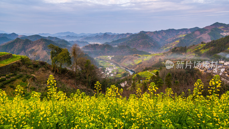 中国徽派建筑油菜花田