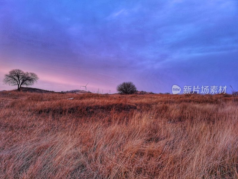 夕阳下的草原