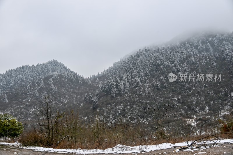 重庆酉阳：大雪纷飞赏雪忙