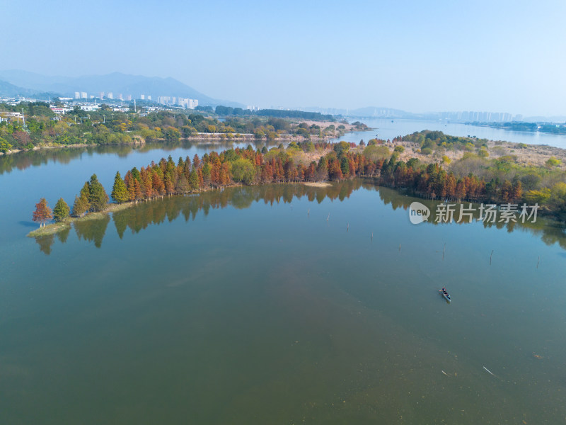 福州多彩树林沿水域分布的自然风景航拍